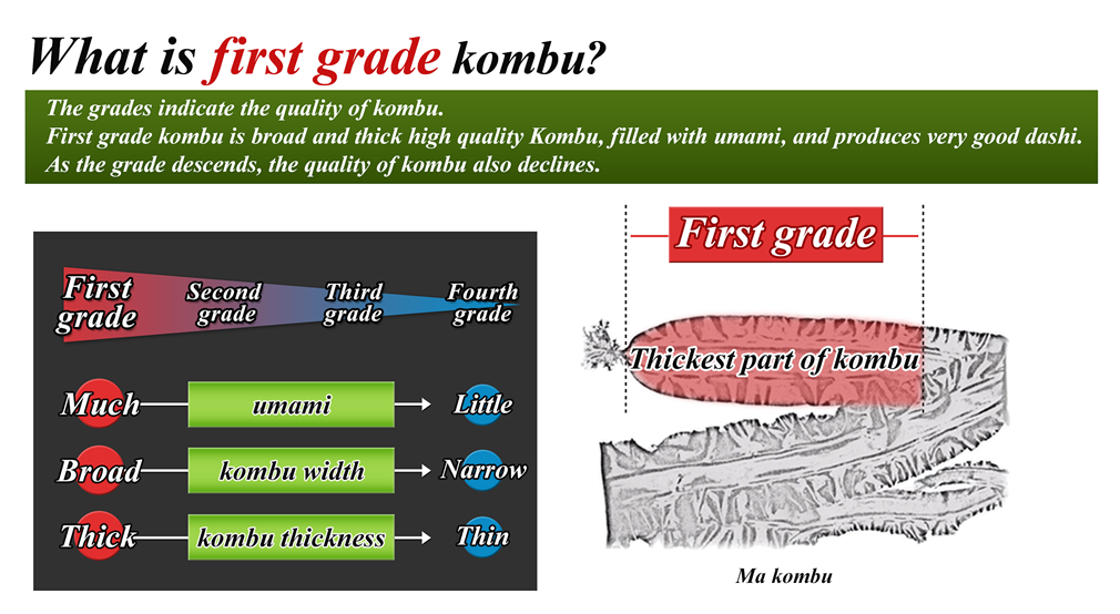 Kombu aquaculture/natural