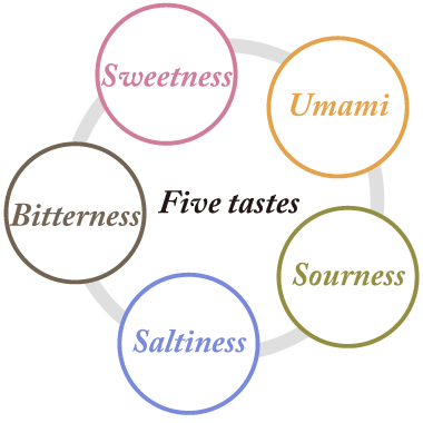 Five tastes Sourness Sweetness Saltiness Bitterness Umami